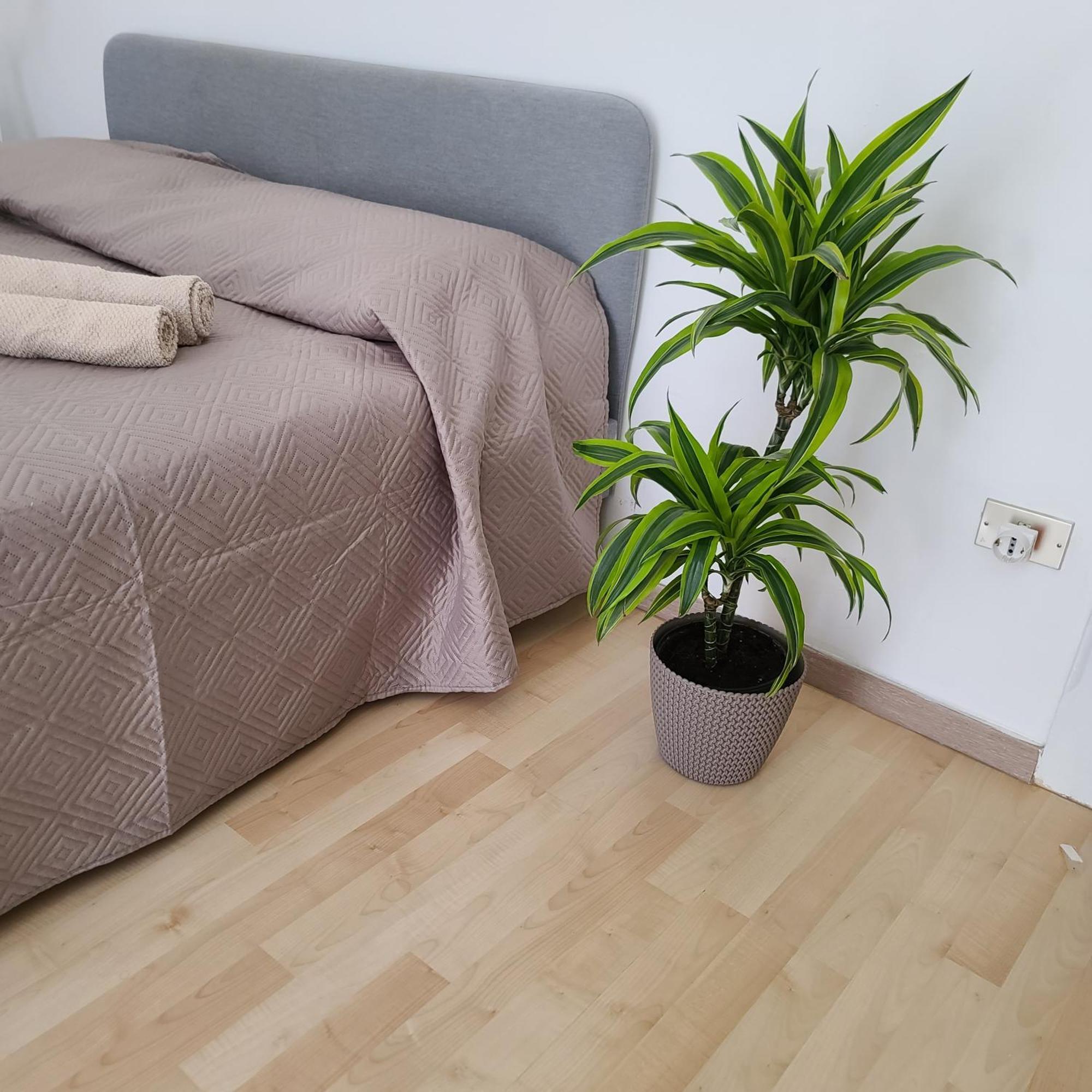Mariamora Apartment Μπάρι Εξωτερικό φωτογραφία