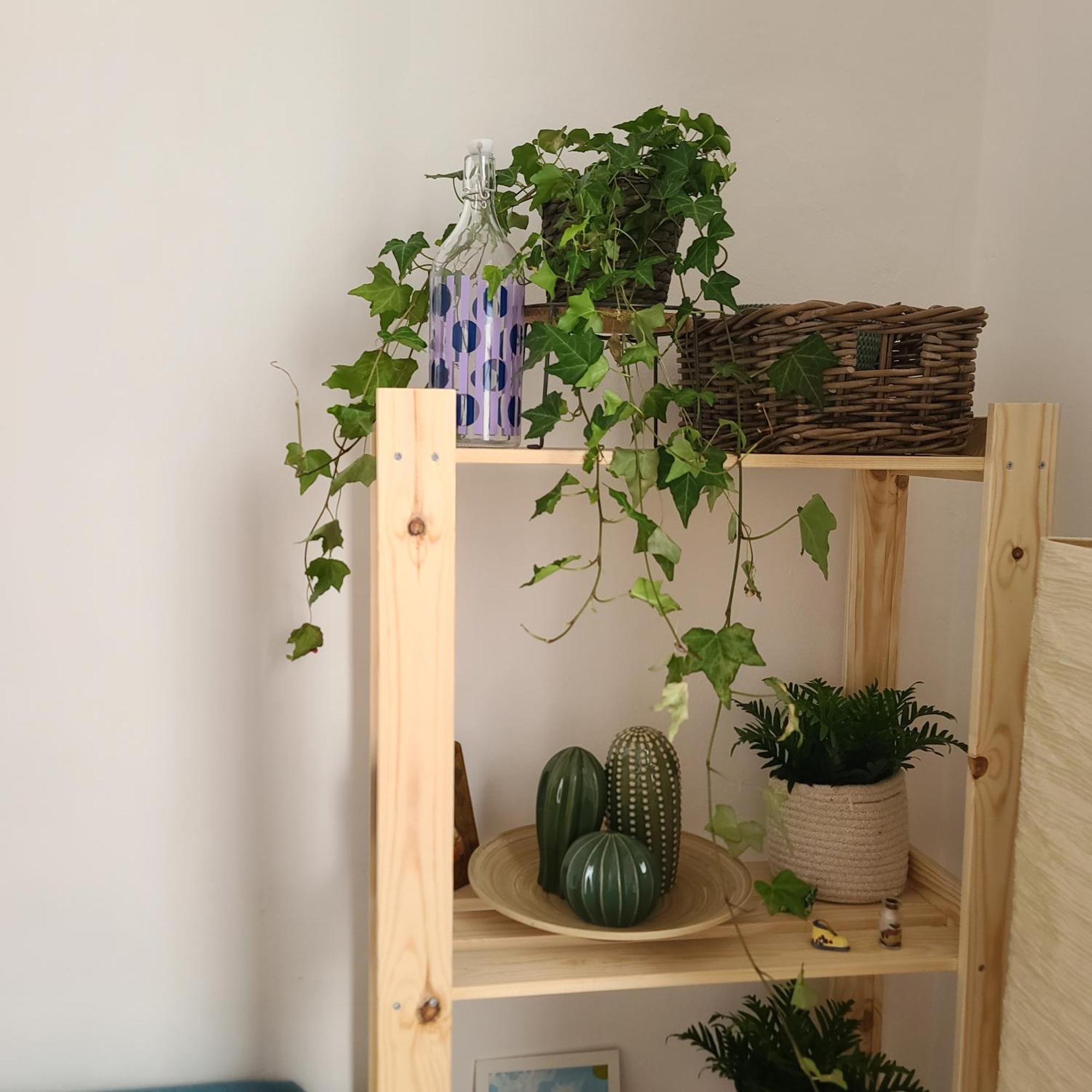 Mariamora Apartment Μπάρι Εξωτερικό φωτογραφία